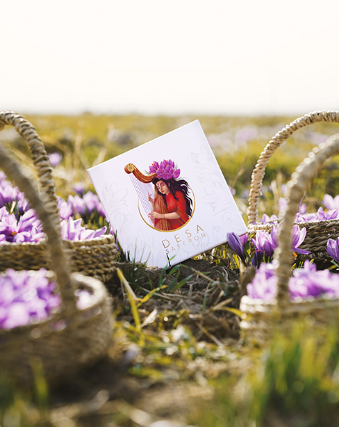 1 فروشگاه اینترنتی دسا